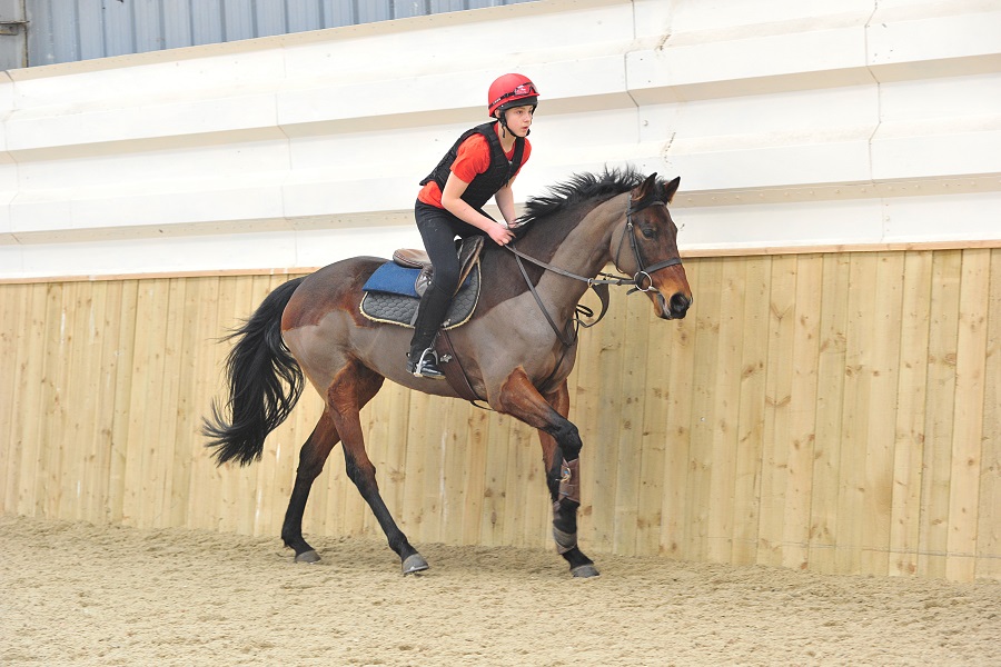 Partnership with HEROS to deliver a bespoke education programme is proving successful Image Partnership with HEROS to deliver a bespoke education programme is proving successful Image